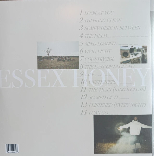 Виниловая пластинка BLOOD ORANGE ESSEX HONEY