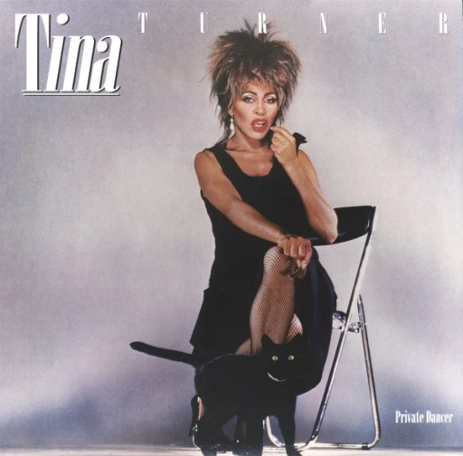 Виниловая пластинка TINA TURNER PRIVATE DANCER