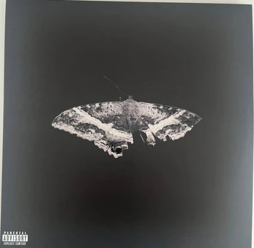 Виниловая пластинка KENDRICK LAMAR TO PIMP A BUTTERFLY