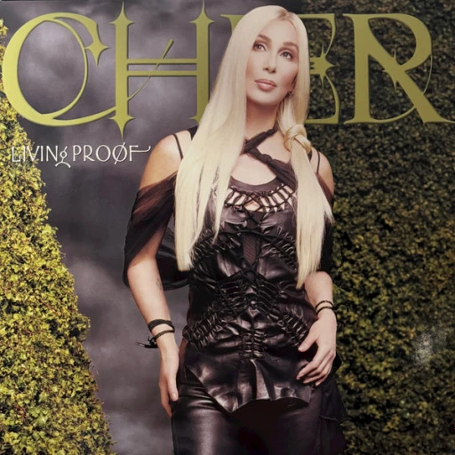 Виниловая пластинка CHER LIVING PROOF