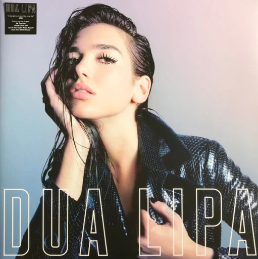 Виниловая пластинка DUA LIPA DUA LIPA