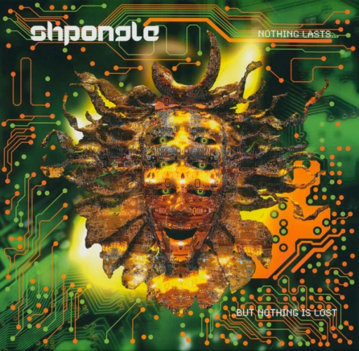 Виниловая пластинка SHPONGLE NOTHING LASTS... BUT NOTHING IS LOST