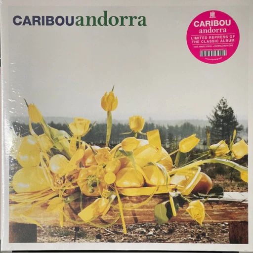 Виниловая пластинка CARIBOU ANDORRA
