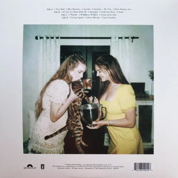 Виниловая пластинка LANA DEL REY BLUE BANISTERS