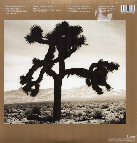 Виниловая пластинка U2 THE BEST OF 1980 - 1990