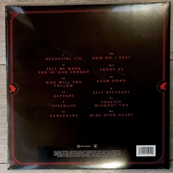 Виниловая пластинка EVANESCENCE SANCTUARY BLACK VINYL EDITION