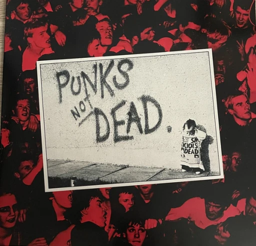 Виниловая пластинка EXPLOITED PUNKS NOT DEAD