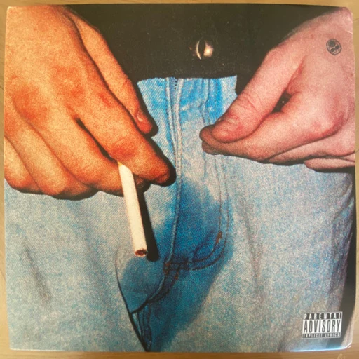 Виниловая пластинка TYLER THE CREATOR CHERRY BOMB PANTS COVER