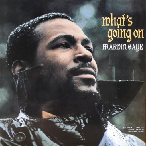 Виниловая пластинка MARVIN GAYE WHAT'S GOING ON