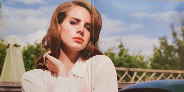 Виниловая пластинка LANA DEL REY BORN TO DIE