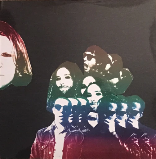 Виниловая пластинка TY SEGALL FREEDOM'S GOBLIN