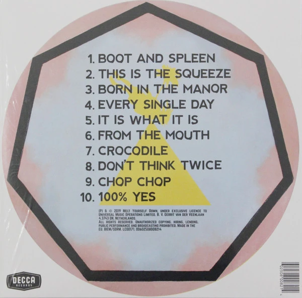 Виниловая пластинка MELT YOURSELF DOWN 100% YES