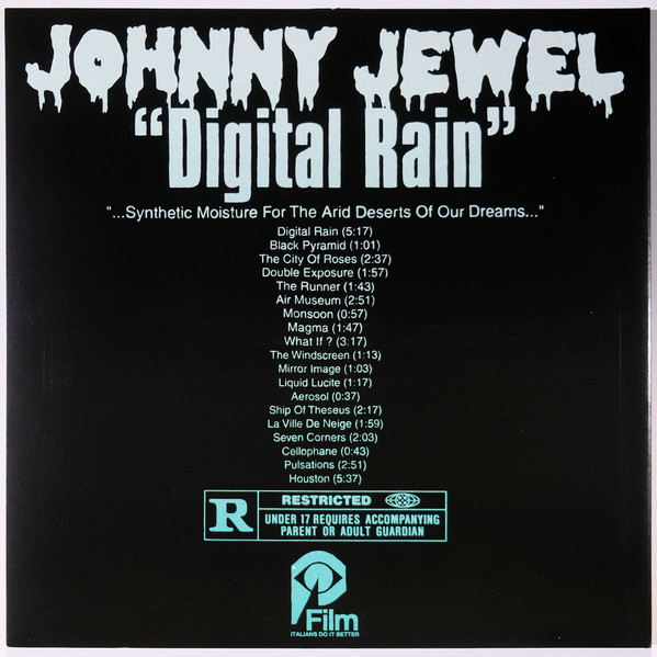 Виниловая пластинка JOHNNY JEWEL DIGITAL RAIN