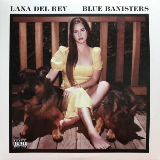 Виниловая пластинка LANA DEL REY BLUE BANISTERS