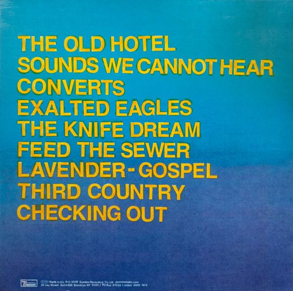 Виниловая пластинка PROTOMARTYR HOTEL USONA GOLD VINYL EDITION
