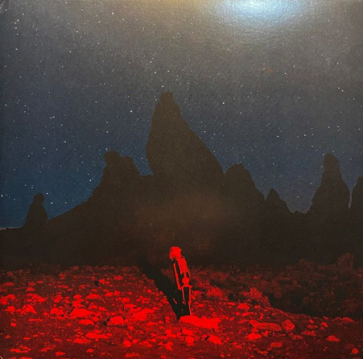 Виниловая пластинка PHOEBE BRIDGERS PUNISHER BLACK VINYL EDITION