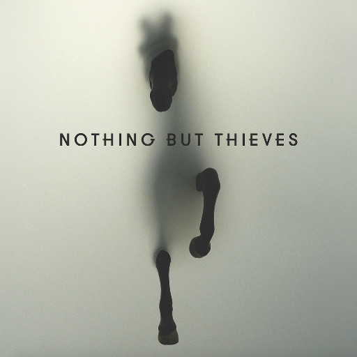 Виниловая пластинка NOTHING BUT THIEVES Nothing But Thieves