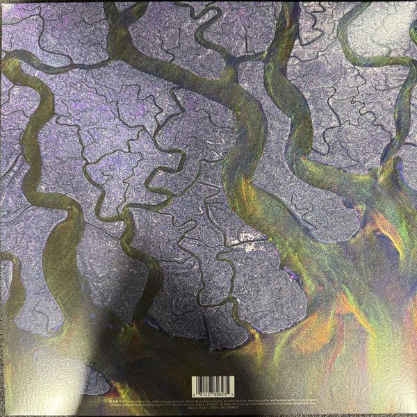 Виниловая пластинка ALT-J AN AWESOME WAVE START YOUR EAR OFF RIGHT 2026 SERIES