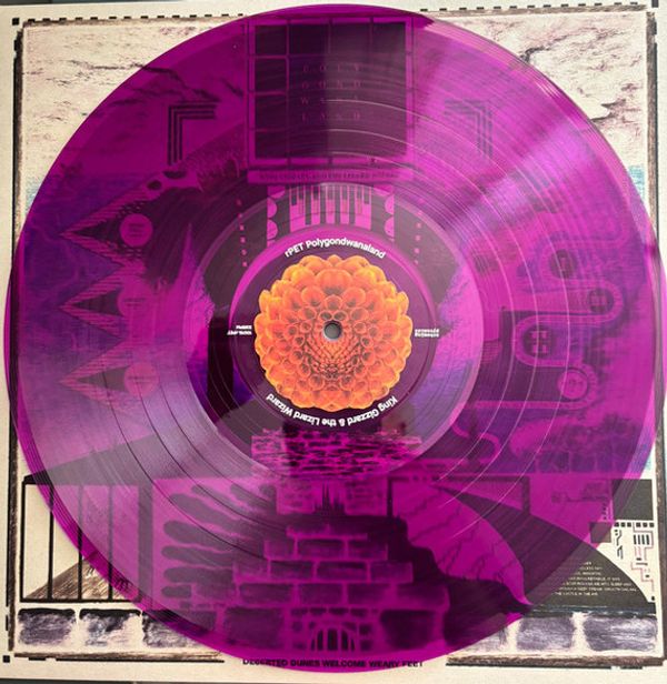 Виниловая пластинка KING GIZZARD & THE LIZARD WIZARD POLYGONDWANALAND